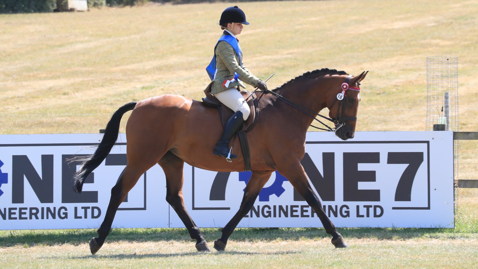 Isabella Stagg and her 18-year-old bay horse Holly trot on their lap of honour after winning the SSADL ridden senior final at the 2026 RIHS