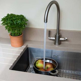 sink area with steel tap and plant in pot