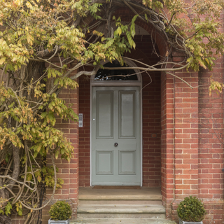 How well does wisteria grow in pots? Try this and find out | Ideal Home