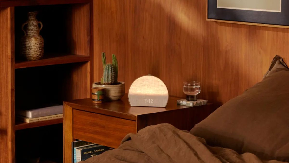 Hatch Restore 3 sunrise alarm clock on wooden bedside table next to cactus and glass of water. Brown bedding on bed.