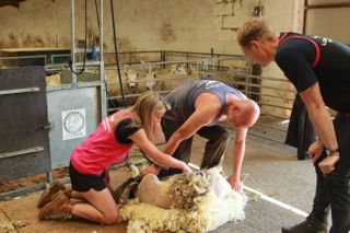 Dan Walker and Helen Skelton help a third-generation farmer shear his sheep