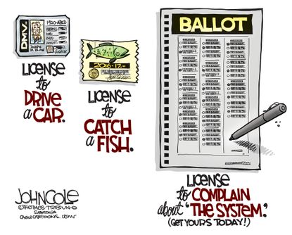 Political Cartoon U.S. Ballot License