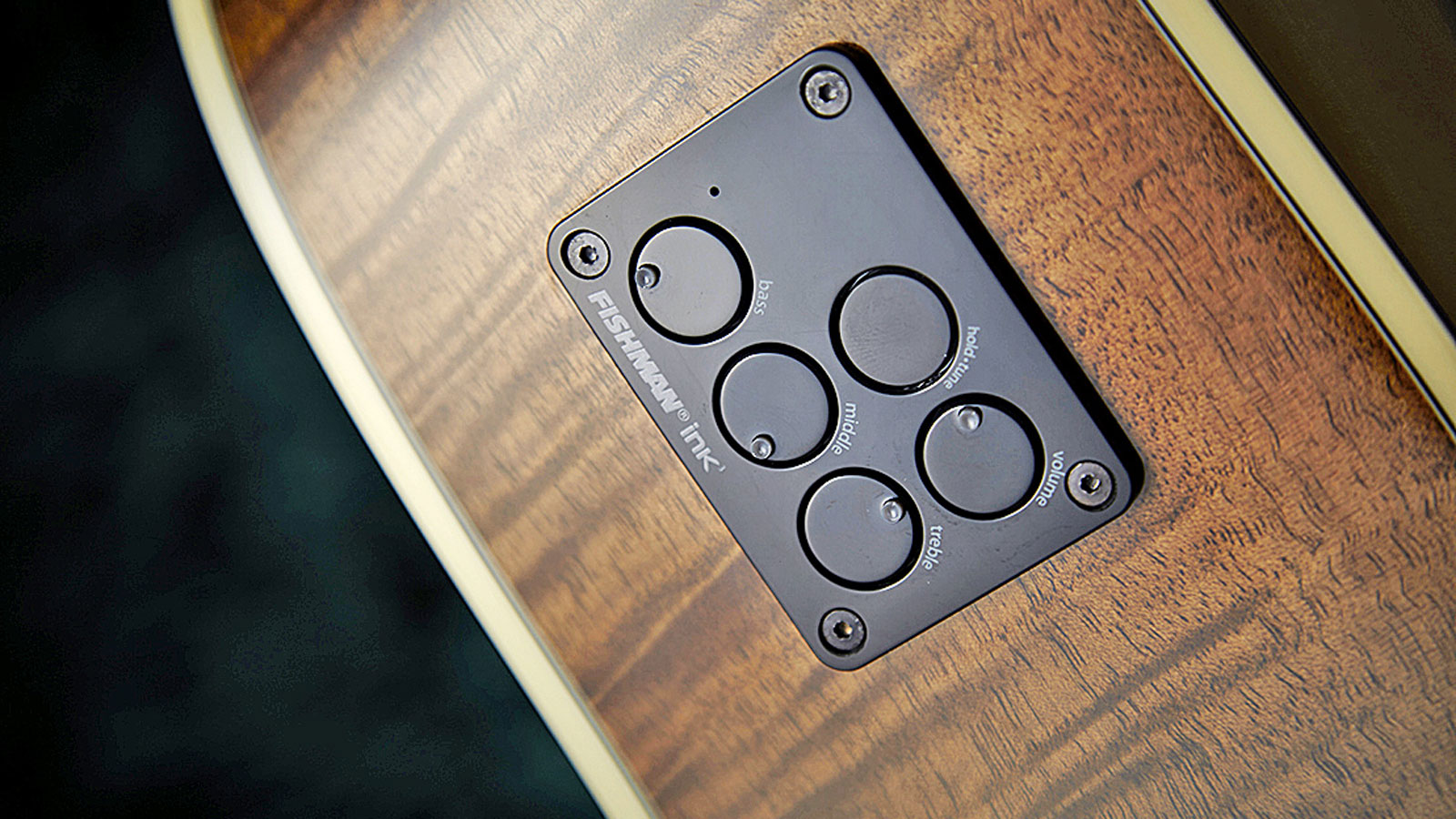 The sharp-looking and functional control panel for the EQ and onboard tuner