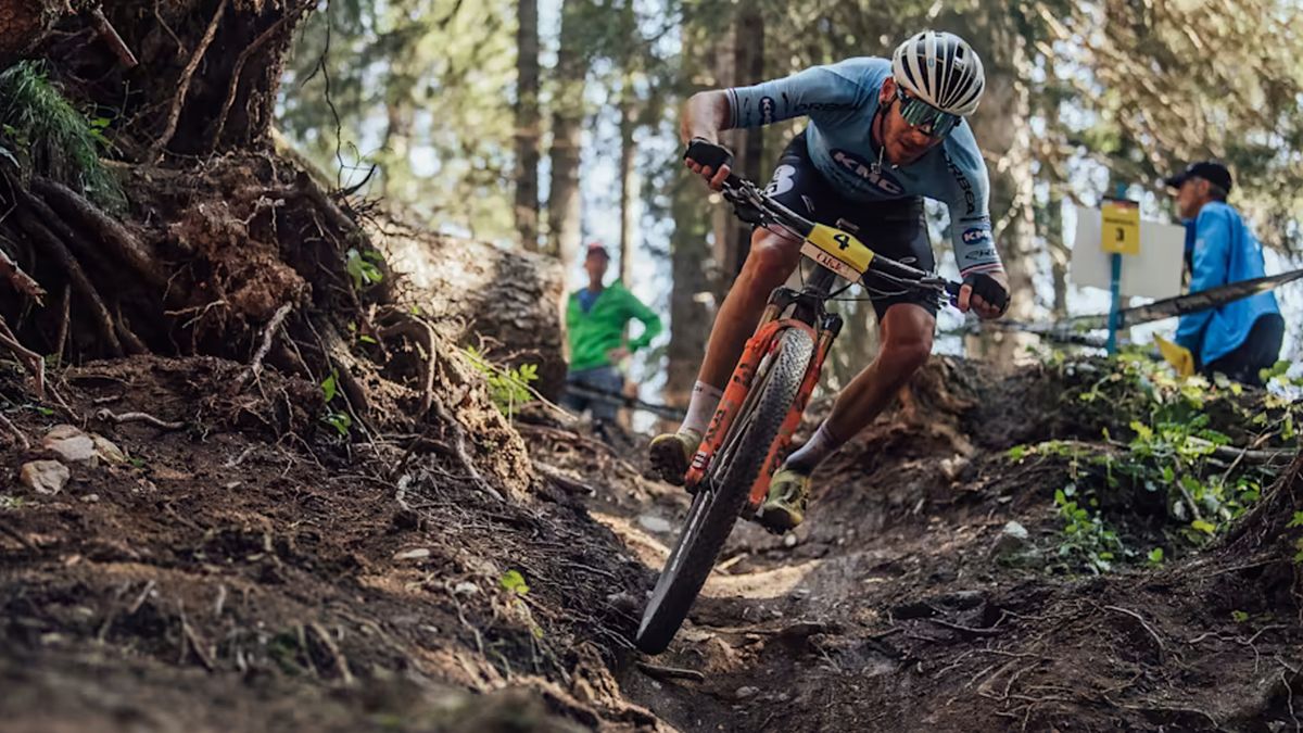 27.5 vs. 29inch wheels What are the differences between mountain bike