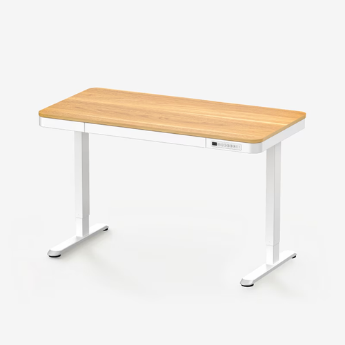 FlexiSpot Comhar 55in standing desk