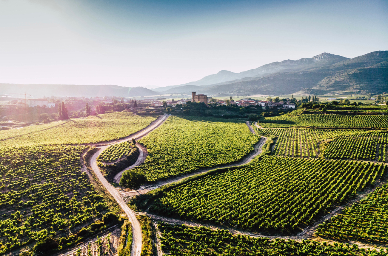 A landscape of vineyards in Spain with a small village in the background