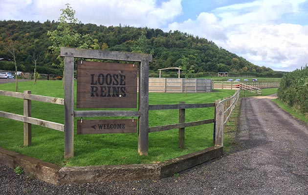Welcome to Loose Reins