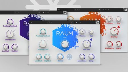 Native Instruments Raum