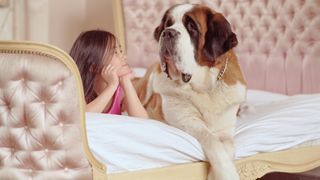a girl lays propped up on her elbows next to a Saint Bernard