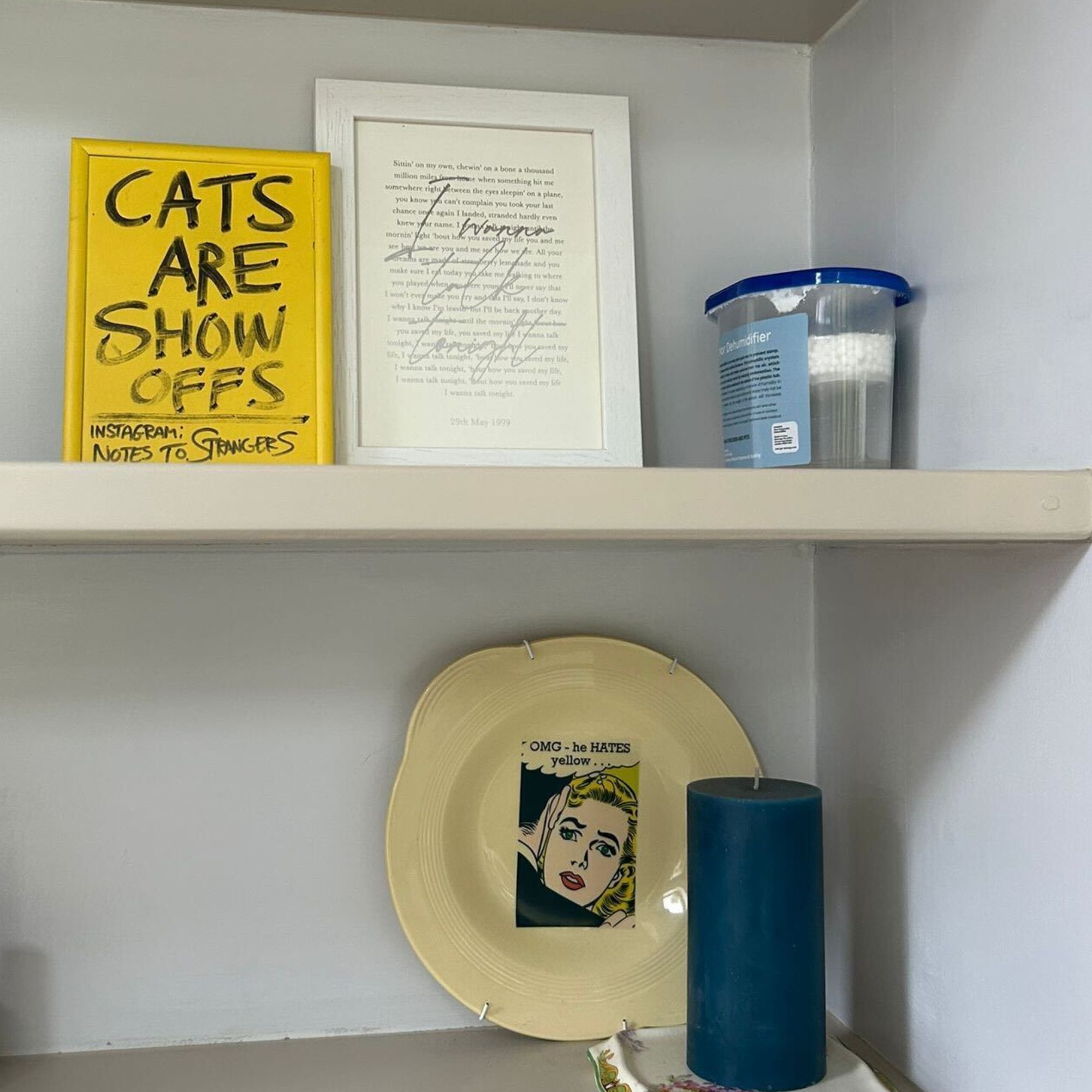 A disposable dehumidifier box on a shelving unit next to two framed pictures