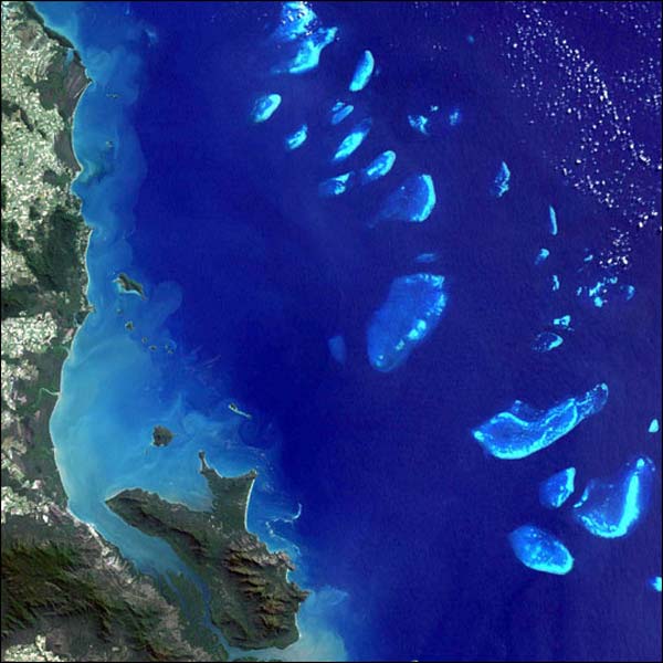 Great Barrier Reef: Facts, Location & Animals | Live Science