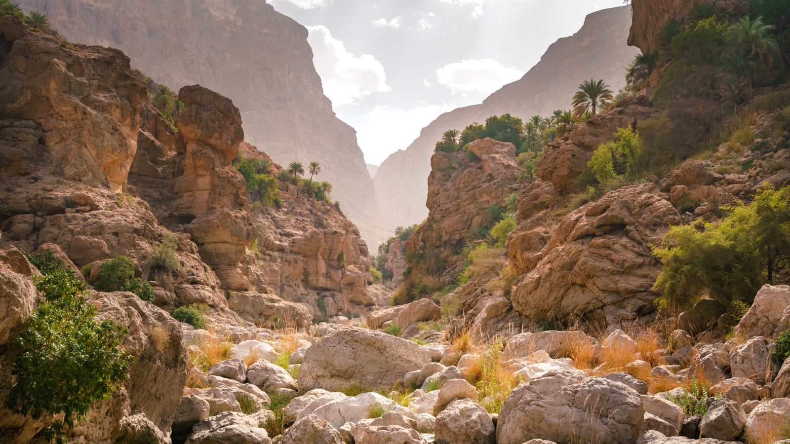 Rocky ground around the mountain areas in Oman