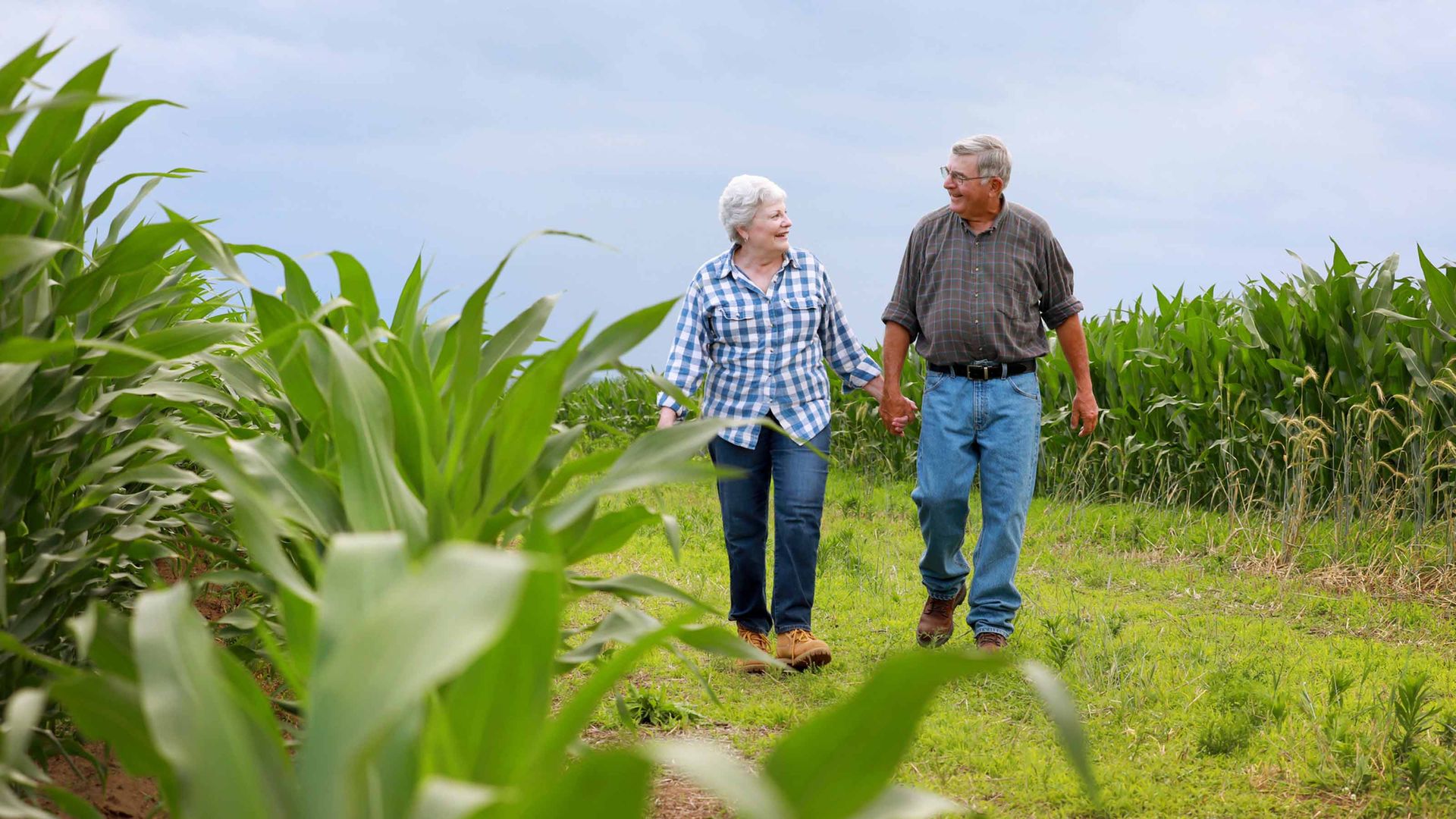 Iowa Taxes on Retirees