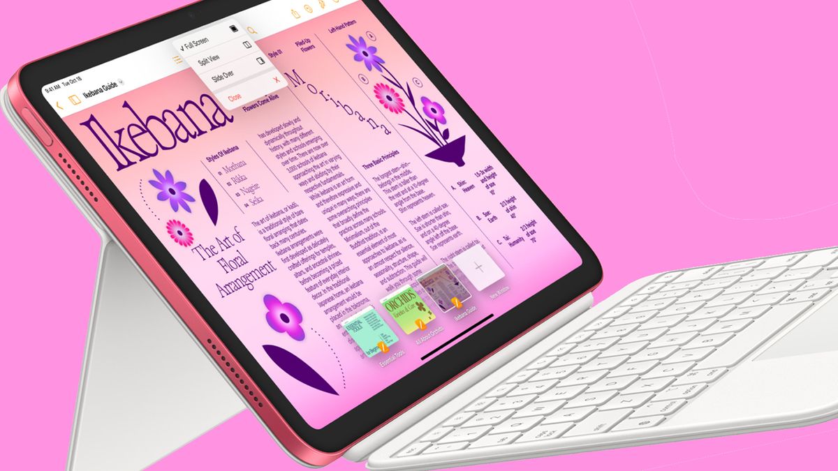 Apple's new pink iPad delights some fans (and dismays others ...