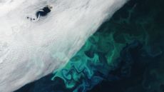 A satellite photo of a large algal bloom with swirling clouds and an island