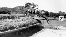 Jim Wofford autobiography: Jim and Kilkenny on the steeplechase at the 1968 Olympics