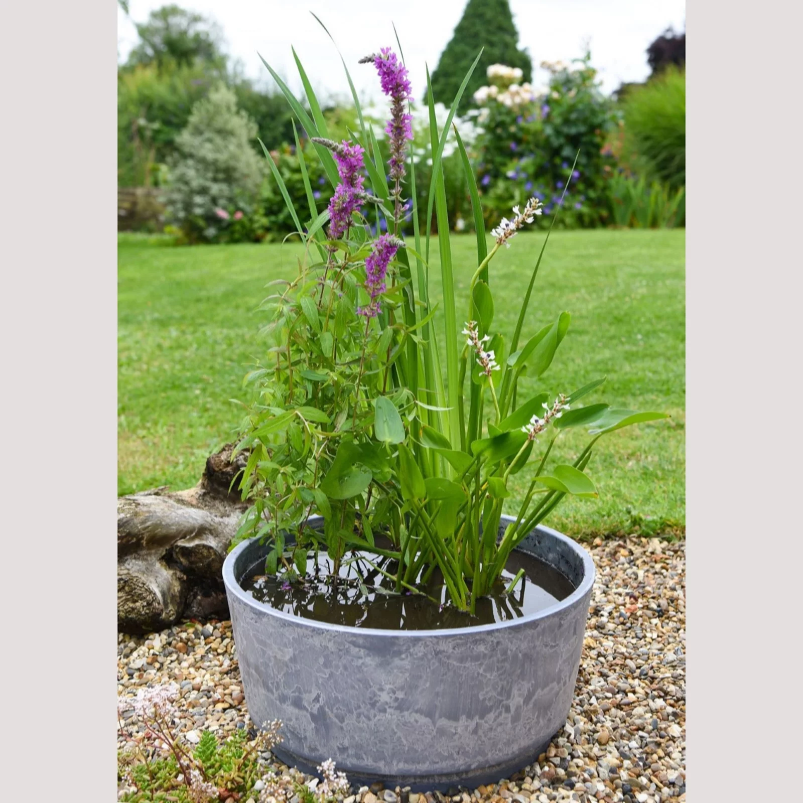 Thompson &amp;amp; Morgan Fragrant Patio Pond Kit + Marble Caesar Bowl 46cm