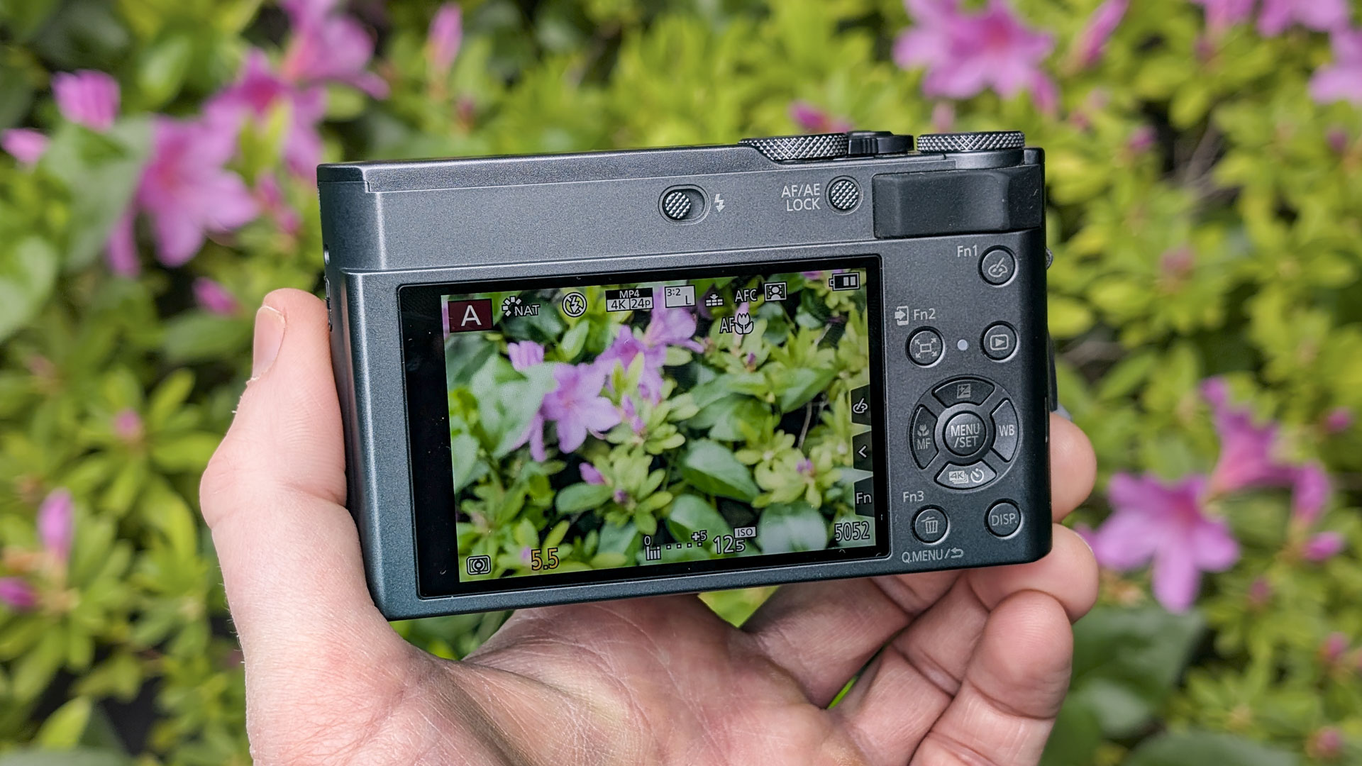 Panasonic Lumix TZ300 compact camera in the hand, view of the rear screen, with a colorful floral backdrop