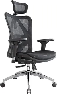 Sihoo M57 Ergonomic Mesh Office Chair