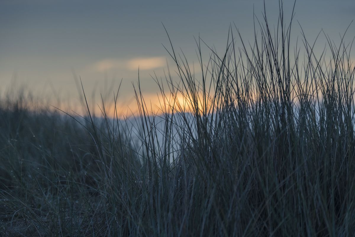 Nikon D850 sample image
