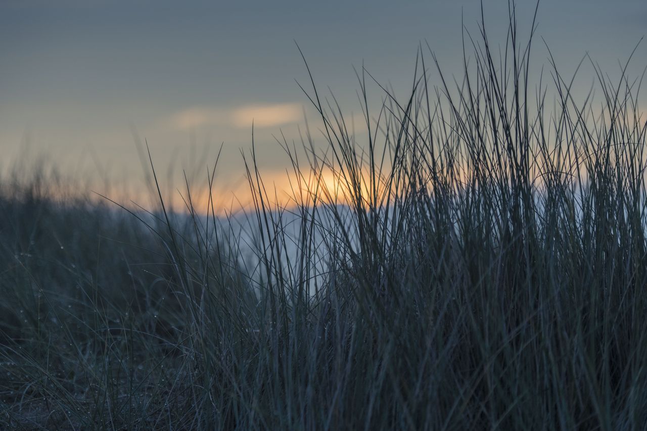 Nikon D850 sample image