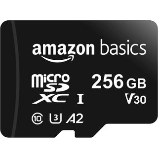 Amazon Basics microSD card 256GB U1 A2