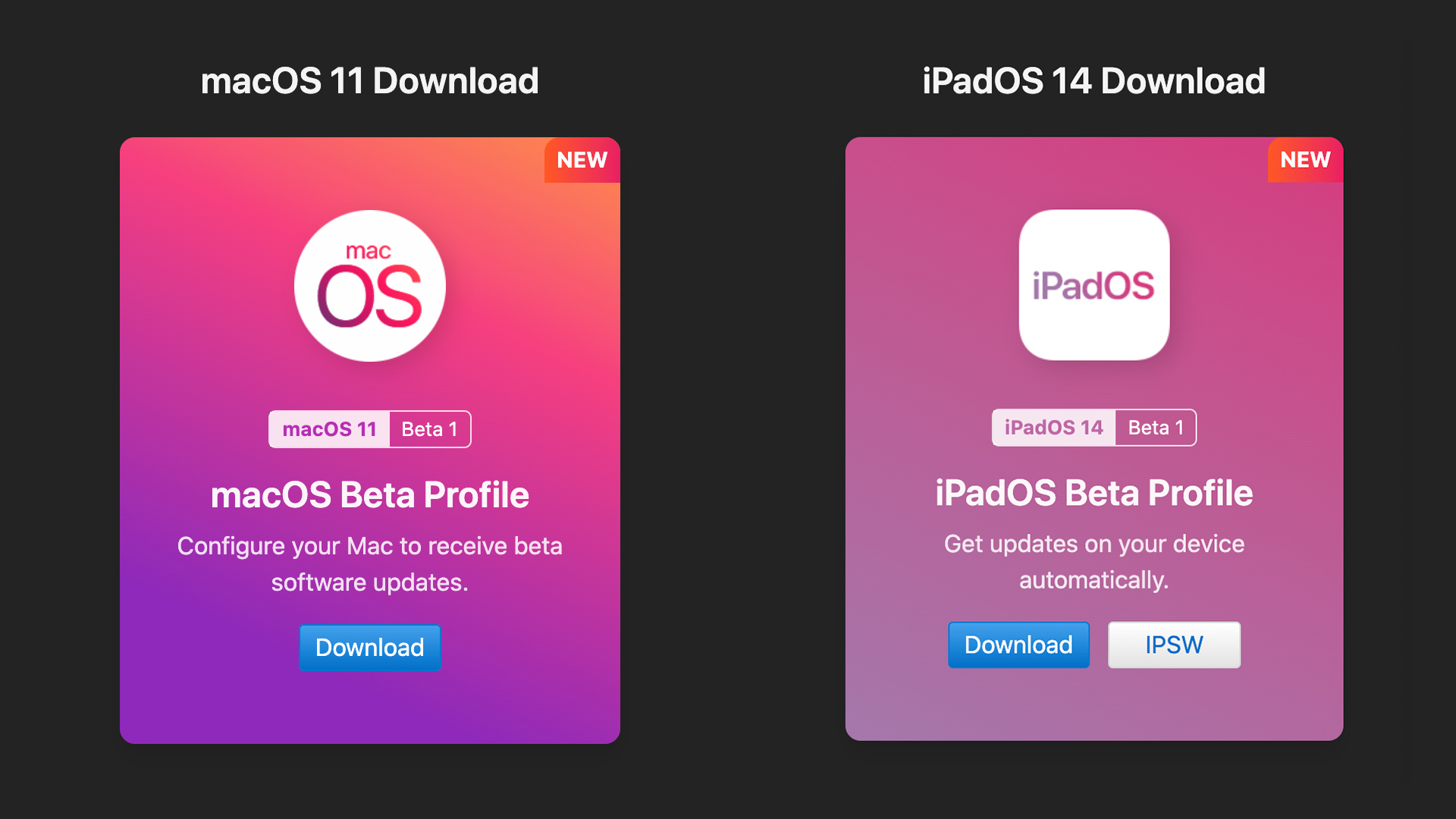 ipados 14 beta profile download