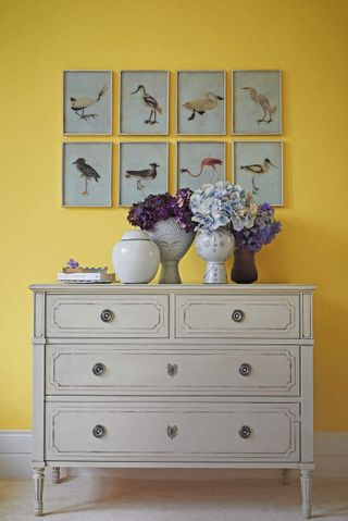 Gray bedroom drawers against a yellow wall with eight bird illustrations framed and displayed above it