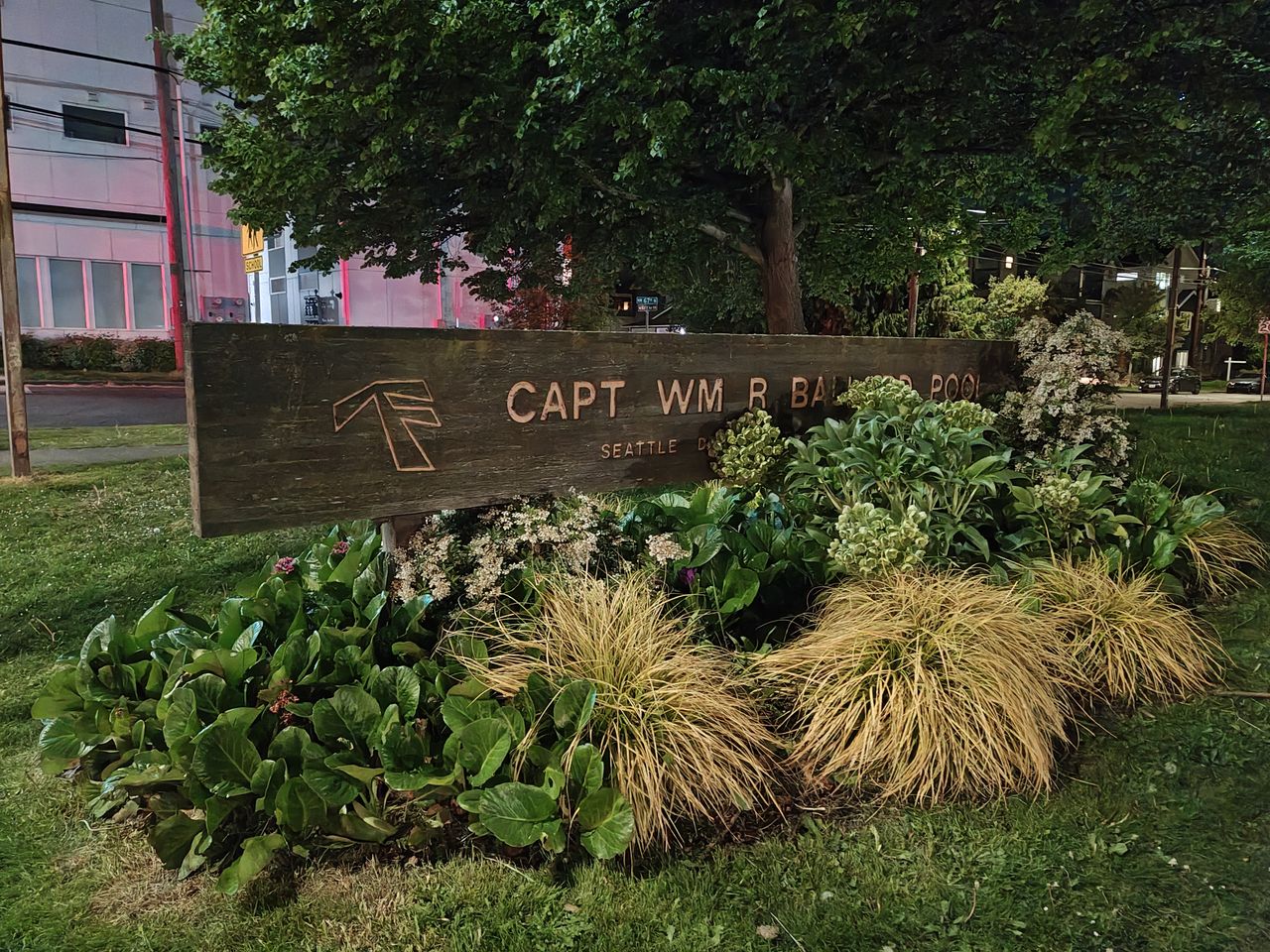A sign partially covered by bushes