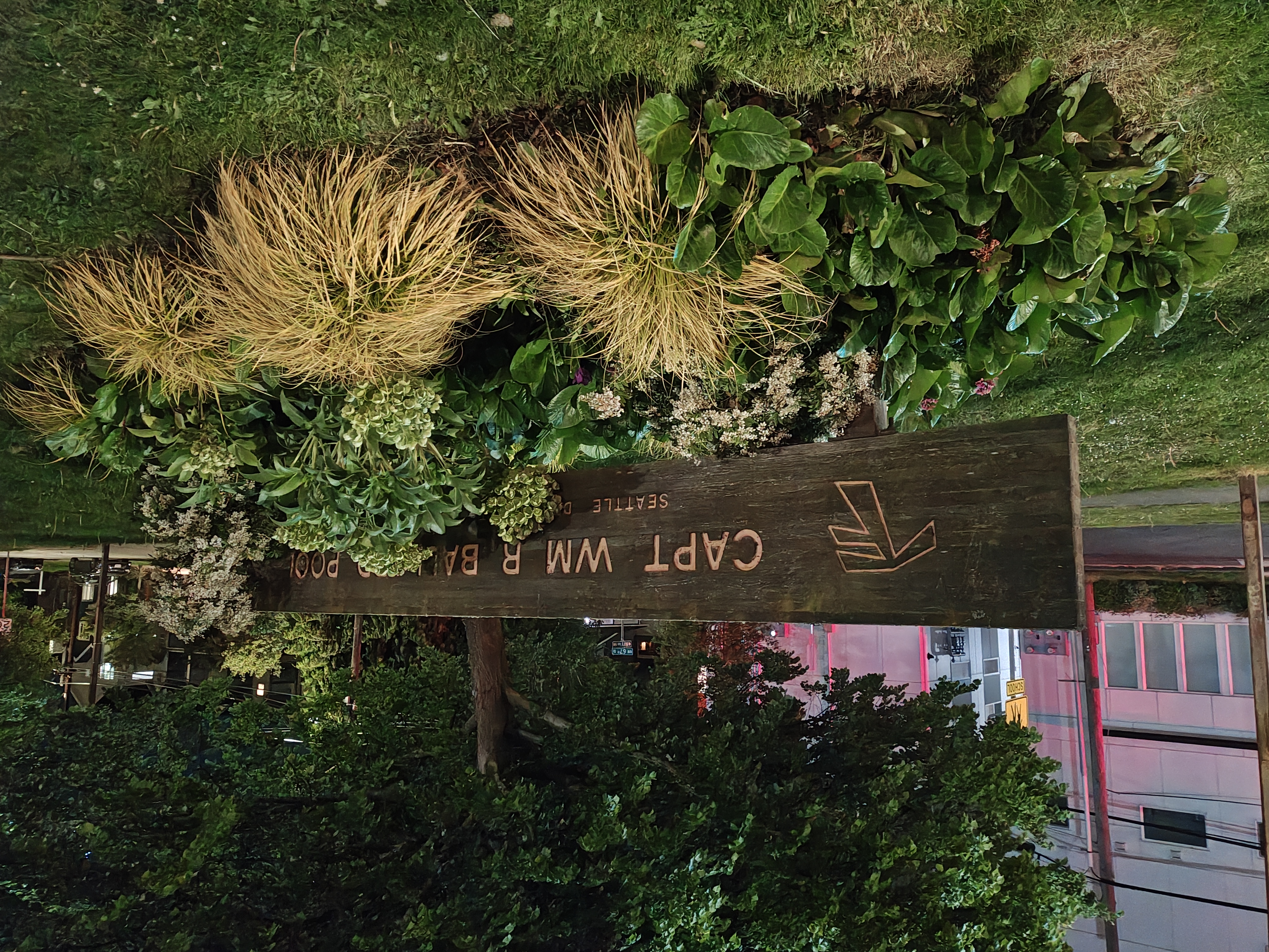A sign partially covered by bushes