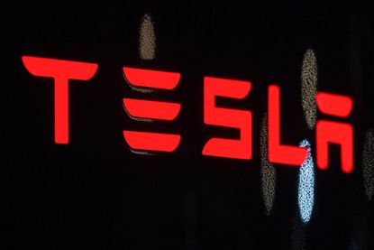 Tesla exemplifies momentum stock investing