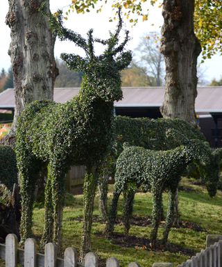topiary around wire frame in shape of deer