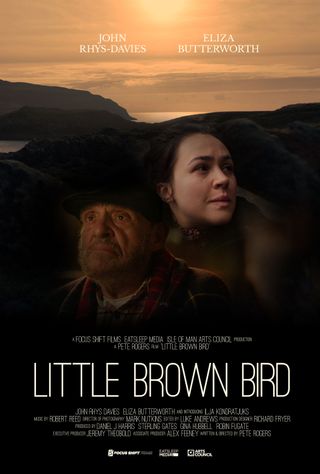 Little Brown Bird movie