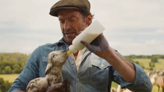 Hugh Jackman feeding the winter sheep.