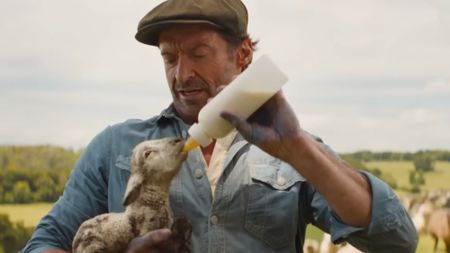 Hugh Jackman feeding the winter sheep.