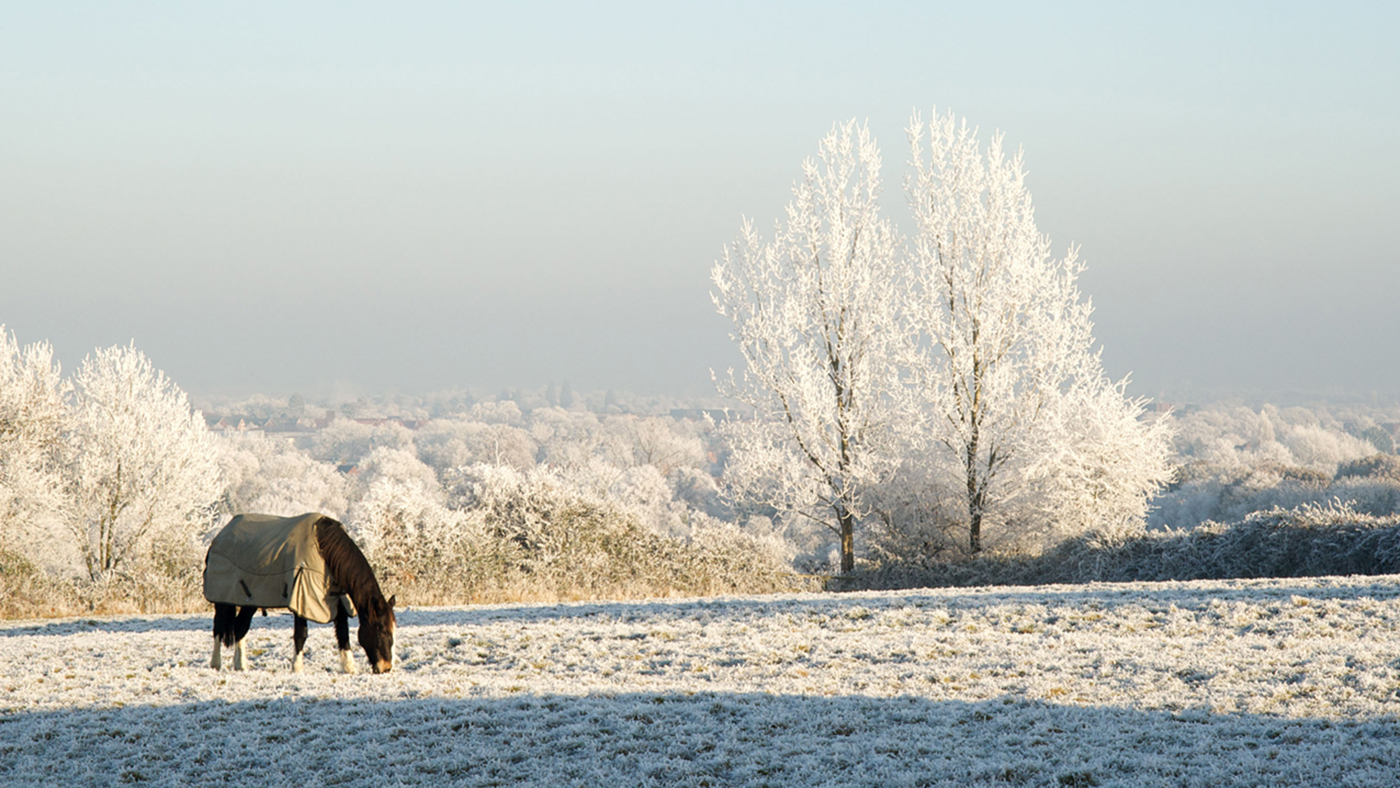 Cold-weather-alamy-BXF8K3-1.jpg