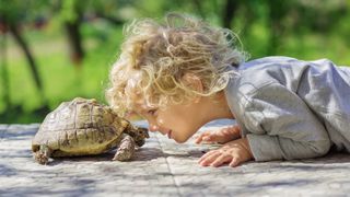 Little boy playing with turtle