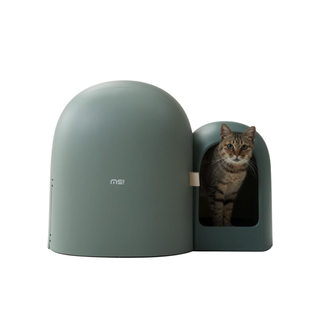 MS!MAKE SURE Cat Litter Box MAX with a cat inside, one of the best cat litter boxes