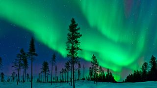 green flash of northern lights across forest