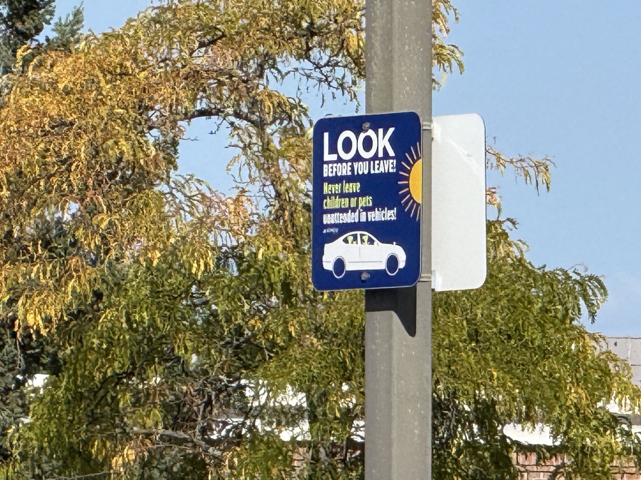 Apple iPhone 16 Pro Max zoom sample.