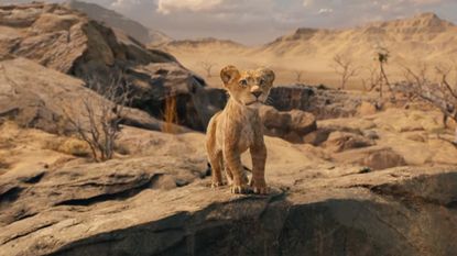 An official image for Mufasa: The Lion King, which shows a young Mufasa standing on a sandy, rock-filled cliff