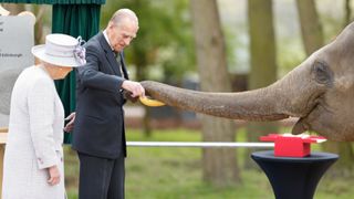 Queen Elizabeth II and Prince Philip, Duke of Edinburgh feed bananas to Donna, a 7 year old Asian Elephant, as they open the new Centre for Elephant Care at ZSL Whipsnade Zoo on April 11, 2017 in Dunstable, England.