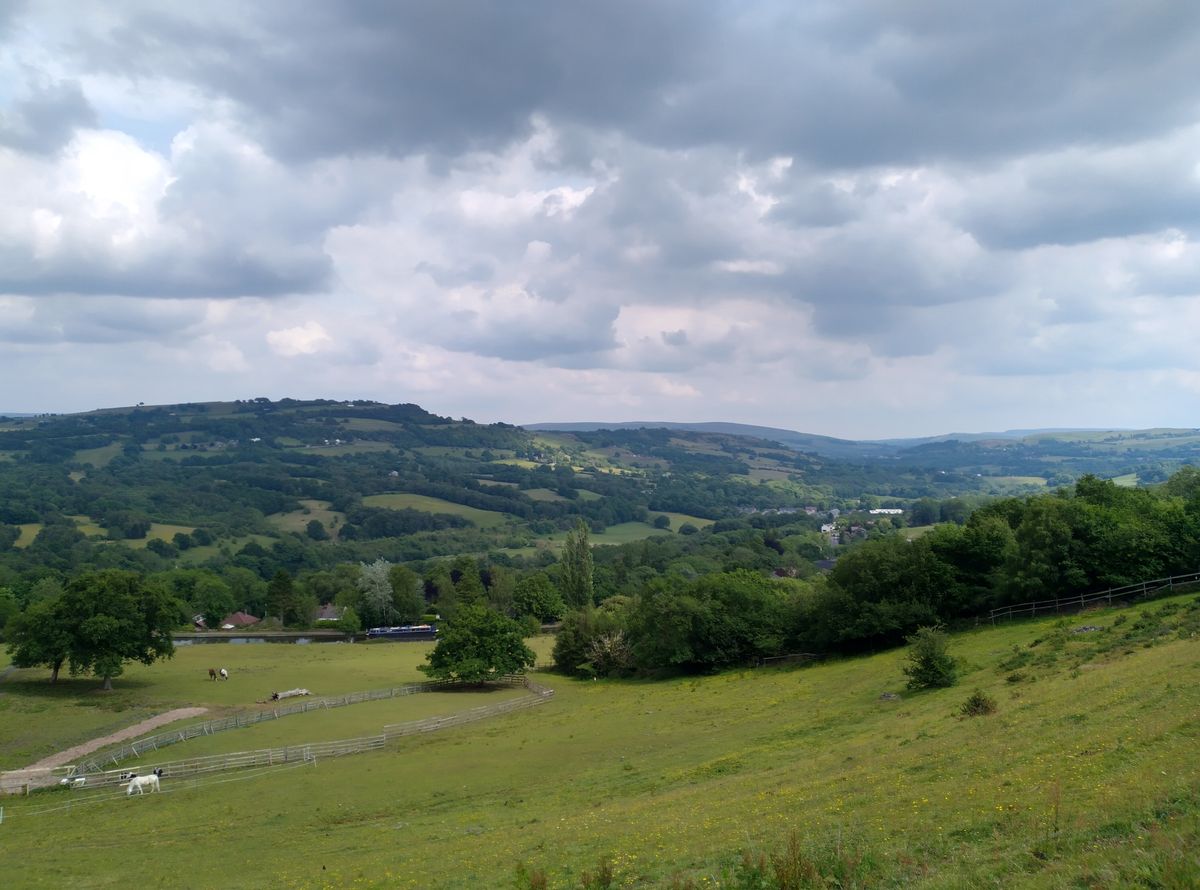 Nokia 5.3 camera sample