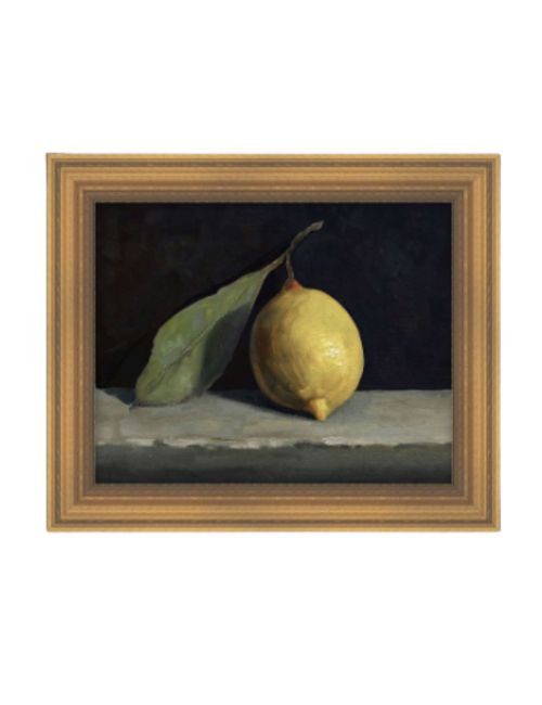Lemon Still Life Framed Canvas