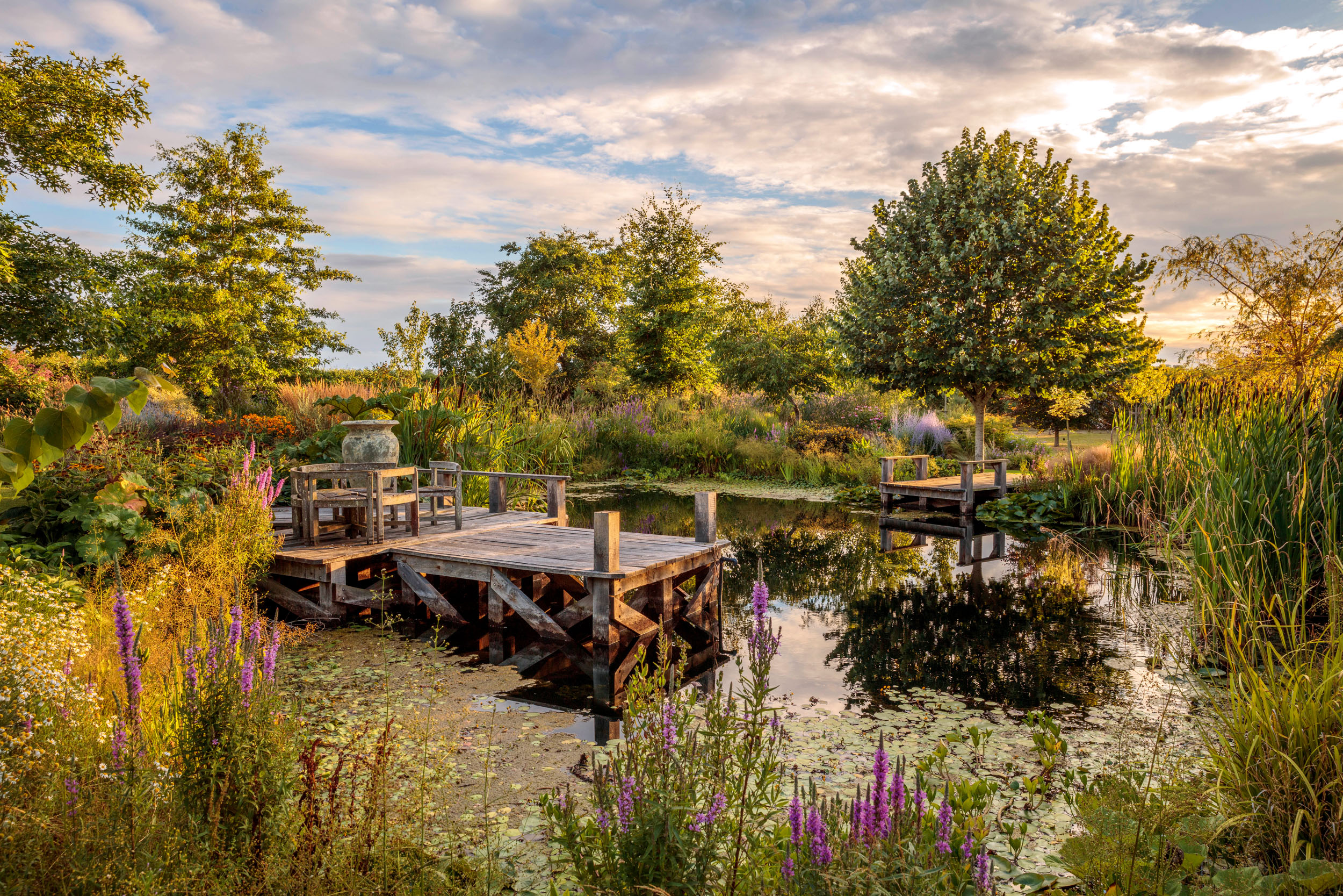 The garden and arboretum at Cedar House in Wasperton
