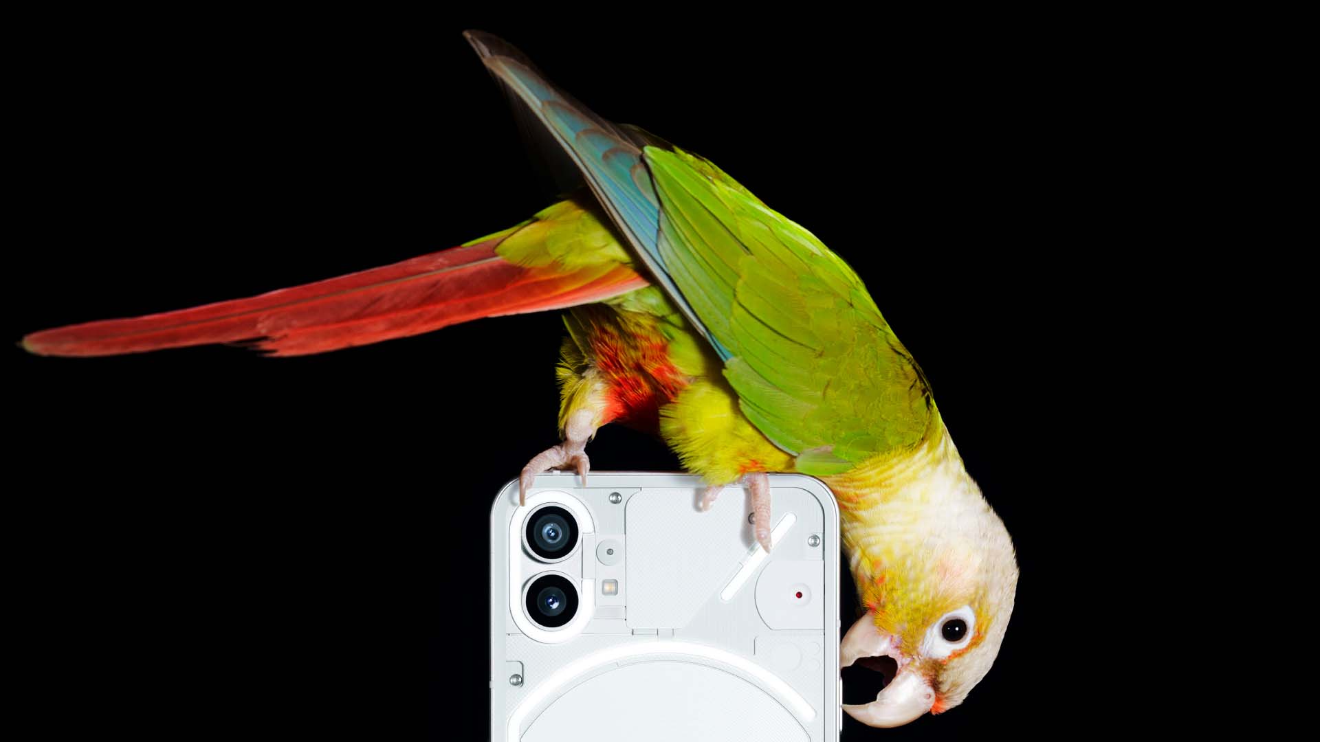 Nothing Phone (1): 5 things to know about the super-hyped smartphone