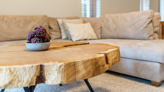 Tree trunk coffee table