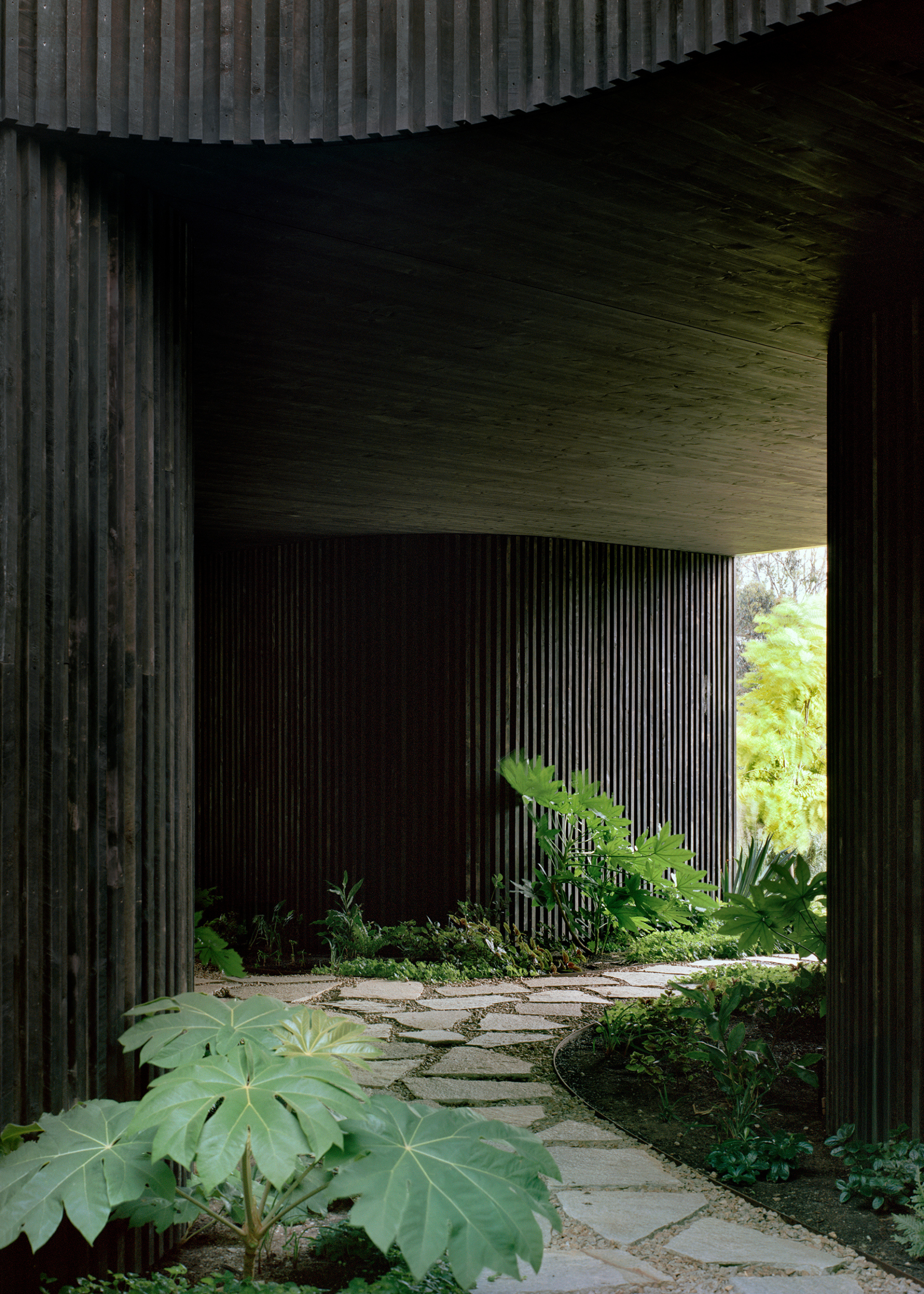A front garden with a stone pathway, green plants along the side, and ribbed wood walls