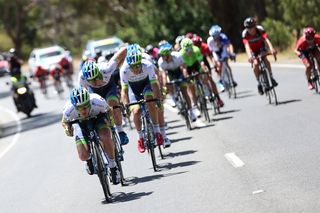 White: We wanted it more than others teams at Tour Down Under
