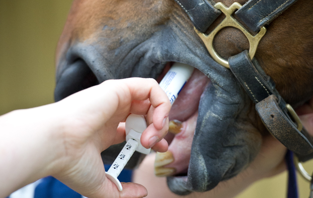 How often should you worm a horse?